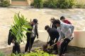 LỄ PHÁT ĐỘNG TẾT TRỒNG CÂY ĐỜI ĐỜI NHỚ ƠN BÁC HỒ